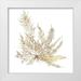 Wild Apple Portfolio 15x15 White Modern Wood Framed Museum Art Print Titled - Pacific Sea Mosses XII White Sq