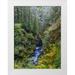 Jaynes Gallery 15x18 White Modern Wood Framed Museum Art Print Titled - USA-Washington State-Olympic National Park The Sol Duc River runs through forest