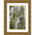 Paulson Don 17x24 Gold Ornate Wood Framed with Double Matting Museum Art Print Titled - Oregon Willamette NF View of Proxy Falls