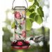 Regal Art & Gift Scarlet Hummingbird Feeder - Hummingbird Glass in Green/Red | 10.5 H x 5 W x 5 D in | Wayfair 13144