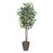 Primrue 72" Artificial Ficus Tree in Pot Silk/Plastic in Brown | 72 H x 34 W x 34 D in | Wayfair 069822EF3E5242029E70F1F7FD17E9B5