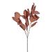 Primrue 3 - Piece Artificial Foliage Plant Set Plastic | 28 H x 4.7 W x 9.8 D in | Wayfair B7CBA7F0E8A544A68D3F6255856E9891