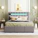 Everly Quinn Full/Double Low Profile Storage Platform Bed Wood & /Upholstered/Velvet in Brown | 45 H x 53 W x 76.4 D in | Wayfair