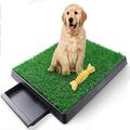 Tucker Murphy Pet™ Dog Grass Pad w/ Tray, Artificial Grass Mats Washable Grass Pee Pads For Dogs, Pet Toilet Potty Tray For Puppy & Small Pet | Wayfair