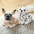 Peluche chien de haute qualité carlin en peluche bouledogue Husky dalmatien Akita Beagles