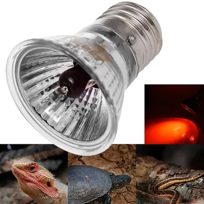 Lampe solaire chauffante à spectre complet pour Reptile tortue serpent UVA + UVB lumière rouge