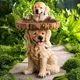 Statue de chien de jardin en polyrésine 10x9x21 cm en forme de chiot pour extérieur bain