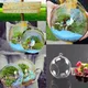 Vase boule de verre suspendu créatif SAL99 Pot de plante de fleur Terrarium décor de maison ou de