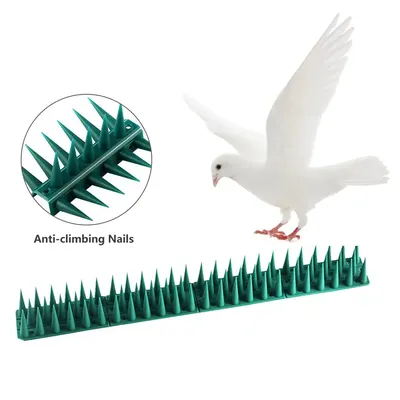 Clous de clôture en plastique pointes d'oiseaux et de Pigeons Anti-oiseau pour se débarrasser des