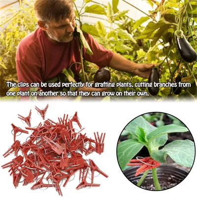 Clips de greffage de plantes en ...