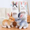 Lapins en peluche blancs mignons réalistes animaux réalistes accessoires photo lapin de