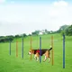 Bâtons d'agilité pour chiens de compagnie entraînement à la course poteaux à obstacles pour