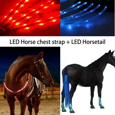 Sangle de poitrine pour cheval avec lumières LED collier de cheval queue de cheval visible la