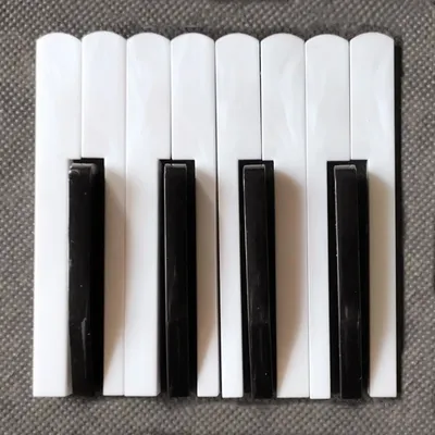 Accessoires de clavier accordéon noir et blanc maintenance professionnelle une variété de modèles