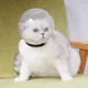 Tête de chaton respirante anti-léchage en forme de boule de capuche de chat housse de protection