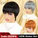 Perruque de cheveux humains coupe courte Pixie pour femme perruques Bob bon marché cheveux