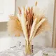 Bouquet de Fleurs vaccées pour Décoration de Mariage Branches de Pompas pour la Maison 80 Pièces