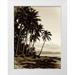 Nall Skip 15x18 White Modern Wood Framed Museum Art Print Titled - Island Palms I