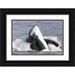 Paulson Don 18x13 Black Ornate Wood Framed with Double Matting Museum Art Print Titled - USA Alaska Orca whale breaching
