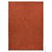 New Shaggy Collection Solid Color Shag Rug Different Color Options Available (Burnt Orange 6 7 x9 6 )