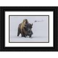 Illg Cathy and Gordon 14x11 Black Ornate Wood Framed with Double Matting Museum Art Print Titled - Wyoming Yellowstone NP Bison walking in snow