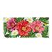 Evergreen Blooming Sassafras Indoor Outdoor Switch Doormat 1 10 x10 Multicolored