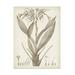 Vision Studio Sepia Exotic Plants VII Canvas Art