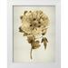 Bennett Kate 19x24 White Modern Wood Framed Museum Art Print Titled - Gold Tulip I