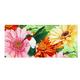 Evergreen Hummingbird and Daisy Trio Sassafras Indoor Outdoor Switch Doormat 1 10 x10 Multicolored