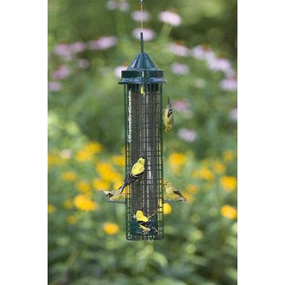 Arlmont & Co. Classic Finch Squirrel-Proof Bird Feeder 4 Perches/8 Feed Ports Plastic in Green | 20 H x 4 W x 4 D in | Wayfair