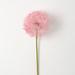 Primrue 32.75" Billowy Pom Pom Stem; Plastic in Pink | 32.75 H x 7.5 W x 7.5 D in | Wayfair EE1BB54DB0254125BFB8968F455ED91F