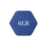 Sehao Outdoorsy gifts for women A Pair Dumbbell Barbell Neoprene Coated Weights 6 Pound Blue Dumbbells Plastic A