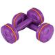 Sehao Outdoorsy gifts for women A Pair Dumbbell Barbell Neoprene Coated Weights 1.5 KG Blue Dumbbells Plastic Purple