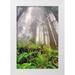 Jones Adam 13x18 White Modern Wood Framed Museum Art Print Titled - Fisheye view skyward of Redwood trees in fog Redwood National Park-California