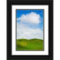 Eggers Terry 11x14 Black Ornate Wood Framed with Double Matting Museum Art Print Titled - USA-Washington State-Palouse Region-Patterns in the fields of fresh green Spring wheat