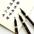 Stylo de dessin calligraphique chinois pinceau de calligraphie matériel de signature fournitures