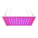 walmeck LED Grow Light Red Blue Full Spectrum 81 LEDs Grow Lamps LED Panel Grow Light for Succulents Hydroponic Greenhouse Indoor Plant Flower Vegetative Growth