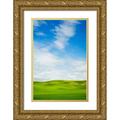 Eggers Terry 23x32 Gold Ornate Wood Framed with Double Matting Museum Art Print Titled - USA-Washington State-Palouse Region-Patterns in the fields of fresh green Spring wheat