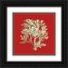 Vision Studio 20x20 Black Ornate Wood Framed with Double Matting Museum Art Print Titled - Coral on Red IV