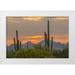 Illg Cathy and Gordon 24x17 White Modern Wood Framed Museum Art Print Titled - Arizona Saguaro NP Sunset on desert landscape