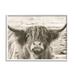 Stupell Industries Highland Cattle Cow Gazing Photography Photograph White Framed Art Print Wall Art Design by Nathan Larson