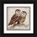 Ven Vertloh Lisa 26x26 Black Ornate Wood Framed with Double Matting Museum Art Print Titled - Two Owls II