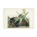 John James Audubon Green Heron Canvas Art