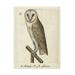 Unknown Barn Owl 1560 To 1585 Canvas Art