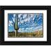 Tharp Brenda 24x17 Black Ornate Wood Framed with Double Matting Museum Art Print Titled - Arizona Clouds spread across a blue sky above saguaro cactus in Organ Pipe National Monument