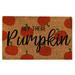 Huaai Pumpkin Doormat Pumpkin Decoration Door Mat Fall Welcome Mat Fall Decoration Rug H