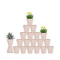 vensovo 3 Inch Pink Terracotta Pots with Drainage - 20 Pack Clay Flower Pots, Succulent Nursery Pots Great for Plants, Crafts, Wedding Favor