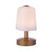 Craftmade Rechargable Led Portable 9 Inch Table Lamp - 86278R-LED