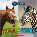 Wild World: Horse or Zebra (Wild World: Pets and Wild Animals) (Paperback)