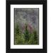Jones Adam 13x18 Black Ornate Wood Framed with Double Matting Museum Art Print Titled - Lichen covered trees at high elevation-Great Smoky Mountains National Park-North Carolina